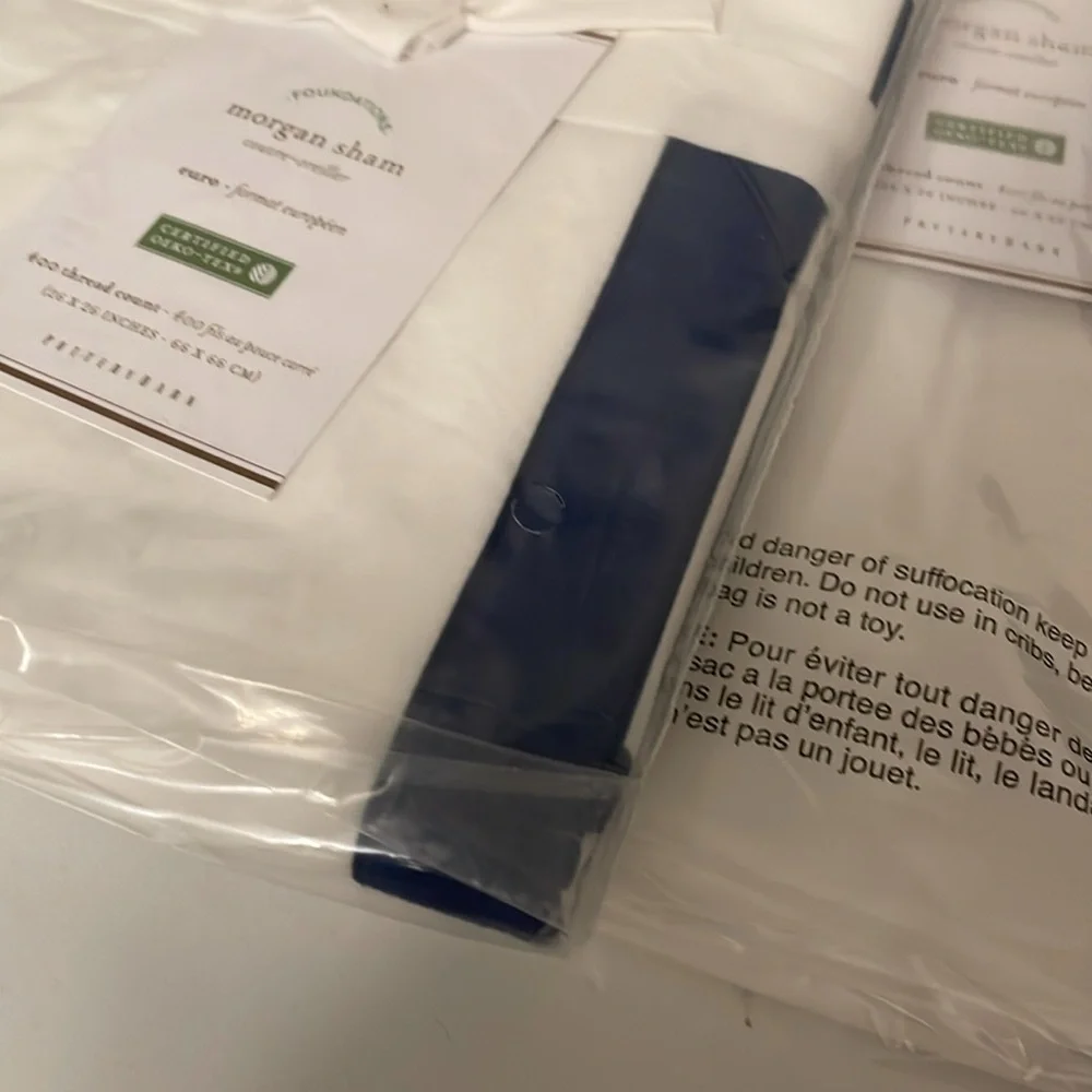 Pottery Barn Euro Shams (2)
